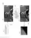Fig. 09 - Non-rasterized image streaming system that uses ray tracing samples