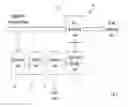 Fig. 03 - Image data pre-processing