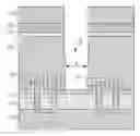 Fig. 01 - GATE CUT METHOD FOR REPLACEMENT METAL GATE