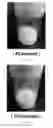 Fig. 05 - METHOD FOR PREPARING SOLID ELECTROLYTES USING SONOCHEMICAL PROCESS
