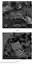 Fig. 06 - METHOD FOR PREPARING SOLID ELECTROLYTES USING SONOCHEMICAL PROCESS