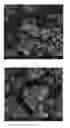 Fig. 08 - METHOD FOR PREPARING SOLID ELECTROLYTES USING SONOCHEMICAL PROCESS