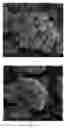 Fig. 09 - METHOD FOR PREPARING SOLID ELECTROLYTES USING SONOCHEMICAL PROCESS