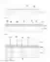 Fig. 02 - Method of manufacturing light emitting device