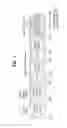 Fig. 02 - Method for transmitting or receiving signal in wireless communication system and device therefor