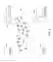 Fig. 03 - Identity verification using biometric data and non-invertible functions via a blockchain