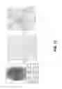 Fig. 13 - Identity verification using biometric data and non-invertible functions via a blockchain