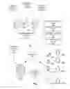 Fig. 02 - Dynamic throttling and real-time scheduling of notifications using a campaign management system