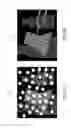 Fig. 13 - STRUCTURED LIGHT AND FLOOD FILL LIGHT ILLUMINATOR