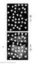 Fig. 20 - STRUCTURED LIGHT AND FLOOD FILL LIGHT ILLUMINATOR