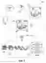 Fig. 02 - Preserving privacy in surveillance