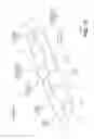 Fig. 10 - Audio speaker surround geometry for improved pistonic motion