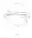 Fig. 09 - Open-ended screwless positioning module of access apparatus
