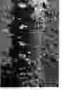 Fig. 08 - UAMTF