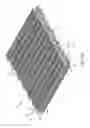 Fig. 09 - SEPARATING DISK AND ASSEMBLY FOR NUT HARVESTER