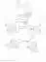 Fig. 01 - Reversibly-dismantlable pet toy