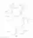 Fig. 02 - Reversibly-dismantlable pet toy