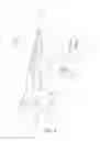 Fig. 05 - HYGIENIC TOILET