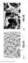 Fig. 08 - Wearable biosensors with room temperature ionic liquid buffer