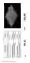Fig. 09 - Wearable biosensors with room temperature ionic liquid buffer