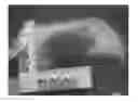 Fig. 01 - DETECTING EARLY TISSUE DAMAGE RESULTING FROM MECHANICAL DEFORMATION, SHEAR, FRICTION, AND/OR PROLONGED APPLICATION OF PRESSURE