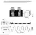 Fig. 03 - Methods and systems for retrospective internal gating
