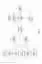 Fig. 05 - Virtual positioning image for use in imaging