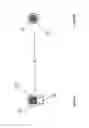Fig. 04 - AUSCULTATION OF A BODY