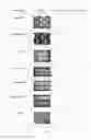 Fig. 02 - Calendered surgical meshes comprising polyhydroxyalkanoates