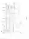 Fig. 09 - Leg assembly for height adjustable patient support