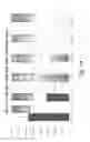 Fig. 65 - Stable silk fibroin based pharmaceutical formulations