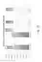 Fig. 79 - Stable silk fibroin based pharmaceutical formulations