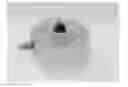 Fig. 01 - Vaginal ring with visual indication of use