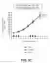 Fig. 06 - Compositions and methods for the treatment of a beta-catenin-associated disease or disorder
