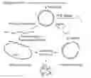 Fig. 01 - METHODS OF CLONING PROPHAGES AND PRODUCING LYTIC PHAGE PARTICLES
