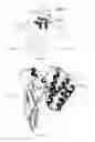Fig. 02 - Interleukin 15 protein complex