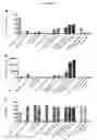 Fig. 07 - TRI-MODAL NUCLEIC ACID DELIVERY SYSTEMS