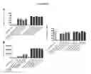 Fig. 09 - TRI-MODAL NUCLEIC ACID DELIVERY SYSTEMS