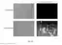 Fig. 20 - Small molecules for dual function positron emission tomography (PET) and cell suicide switches
