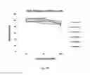 Fig. 30 - Small molecules for dual function positron emission tomography (PET) and cell suicide switches