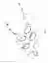 Fig. 02 - Swimming goggles