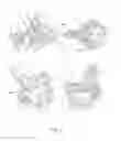 Fig. 02 - Ultralight front jaw