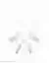 Fig. 01 - Arbitrarily shaped skeleton