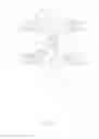 Fig. 02 - Arbitrarily shaped skeleton