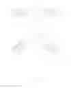 Fig. 06 - Arbitrarily shaped skeleton