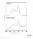 Fig. 09 - PERMEATION MEMBRANE AND METHOD FOR PRODUCING A PERMEATION MEMBRANE
