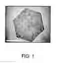 Fig. 02 - ION separation media and applications thereof