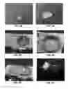Fig. 08 - Glass substrate with superhydrophobic self-cleaning surface