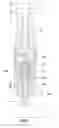 Fig. 07 - Scribing-engraving tool holder