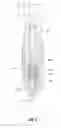 Fig. 08 - Scribing-engraving tool holder